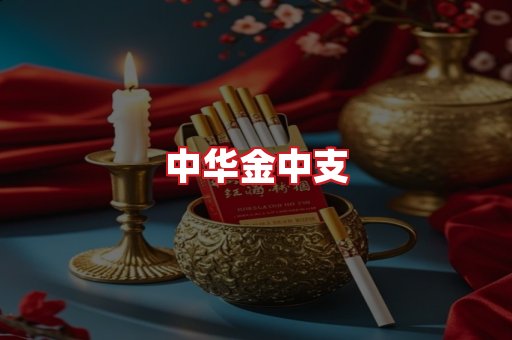 中华金中支